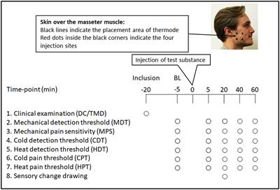 Frontiers The Effect of Granisetron on Sensory Detection and